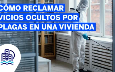 Cómo reclamar vicios ocultos por plagas en una vivienda