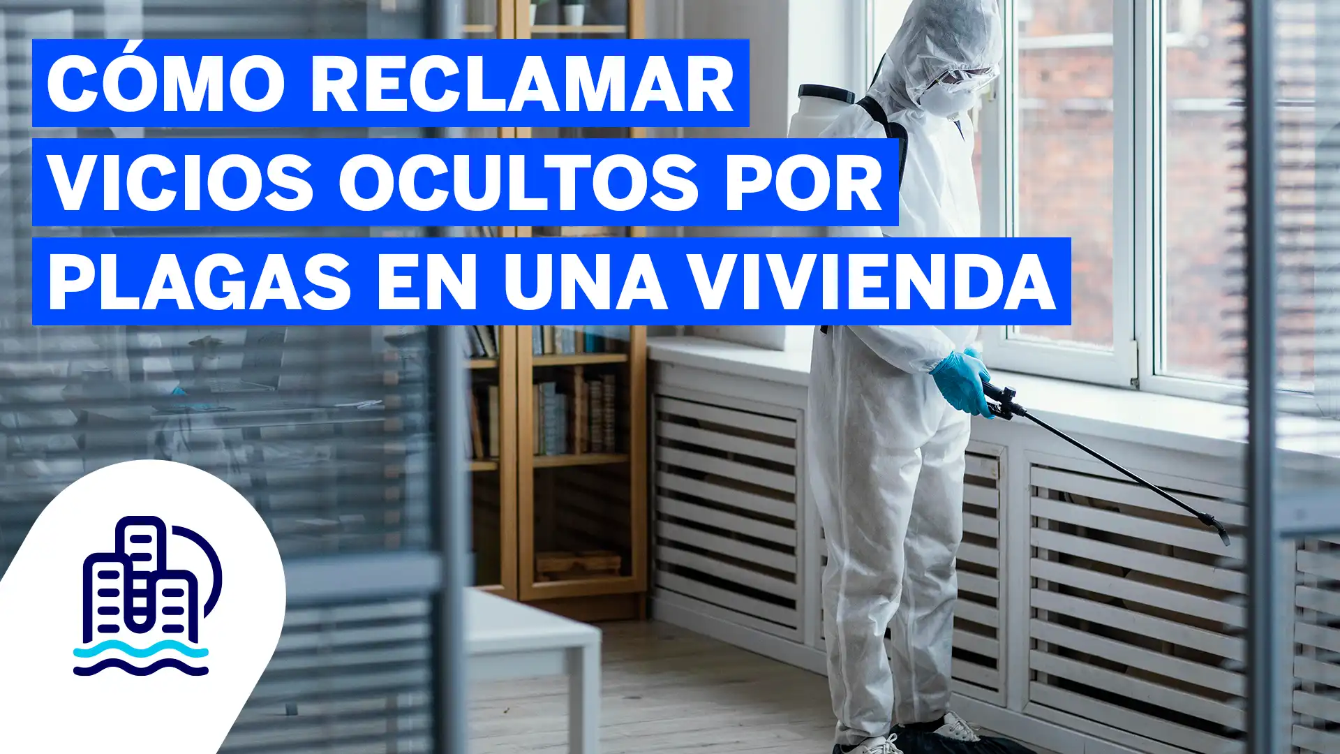 Cómo reclamar vicios ocultos por plagas en una vivienda