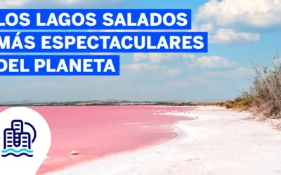 Los lagos salados más espectaculares del planeta