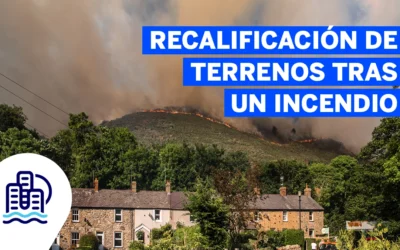 Recalificación de terrenos tras un incendio