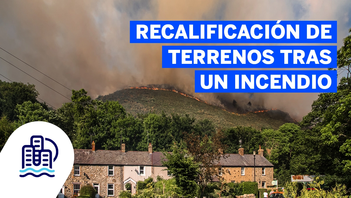 Recalificacion de terrenos tras un incendio